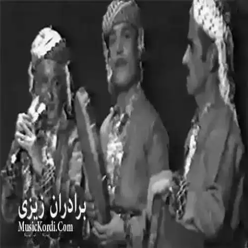 گولاله سووره‌ی سه‌ر کولمی یارم